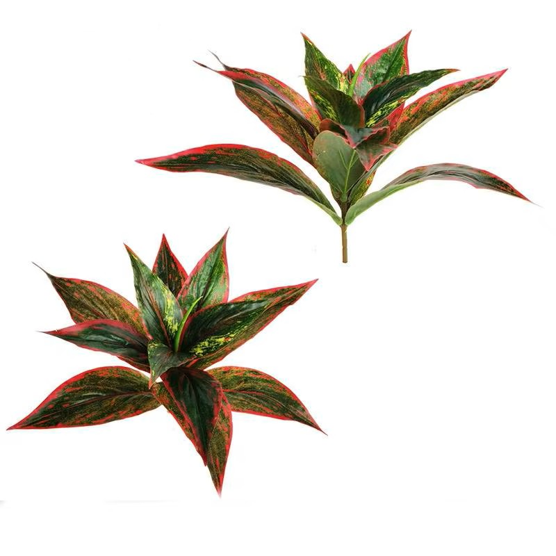 Feuilles AUTI